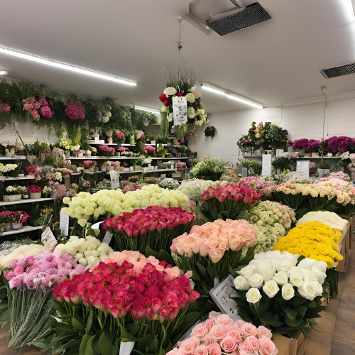 Spearwood Florist coolroom